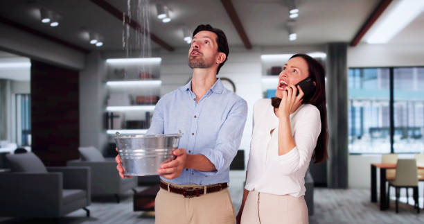 Best Water damage restoration process  in Harleigh, PA